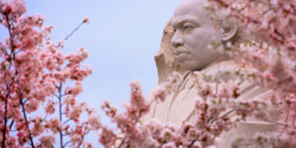 Honoring MLK Jr.’s Life and Legacy